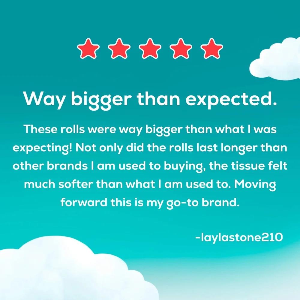 Двухслойная туалетная бумага Супер Мега Рулоны 6 штук 480 листов в рулоне Мягкая Прочная Долговечная Безопасная для септиков Без запаха Перфорированная