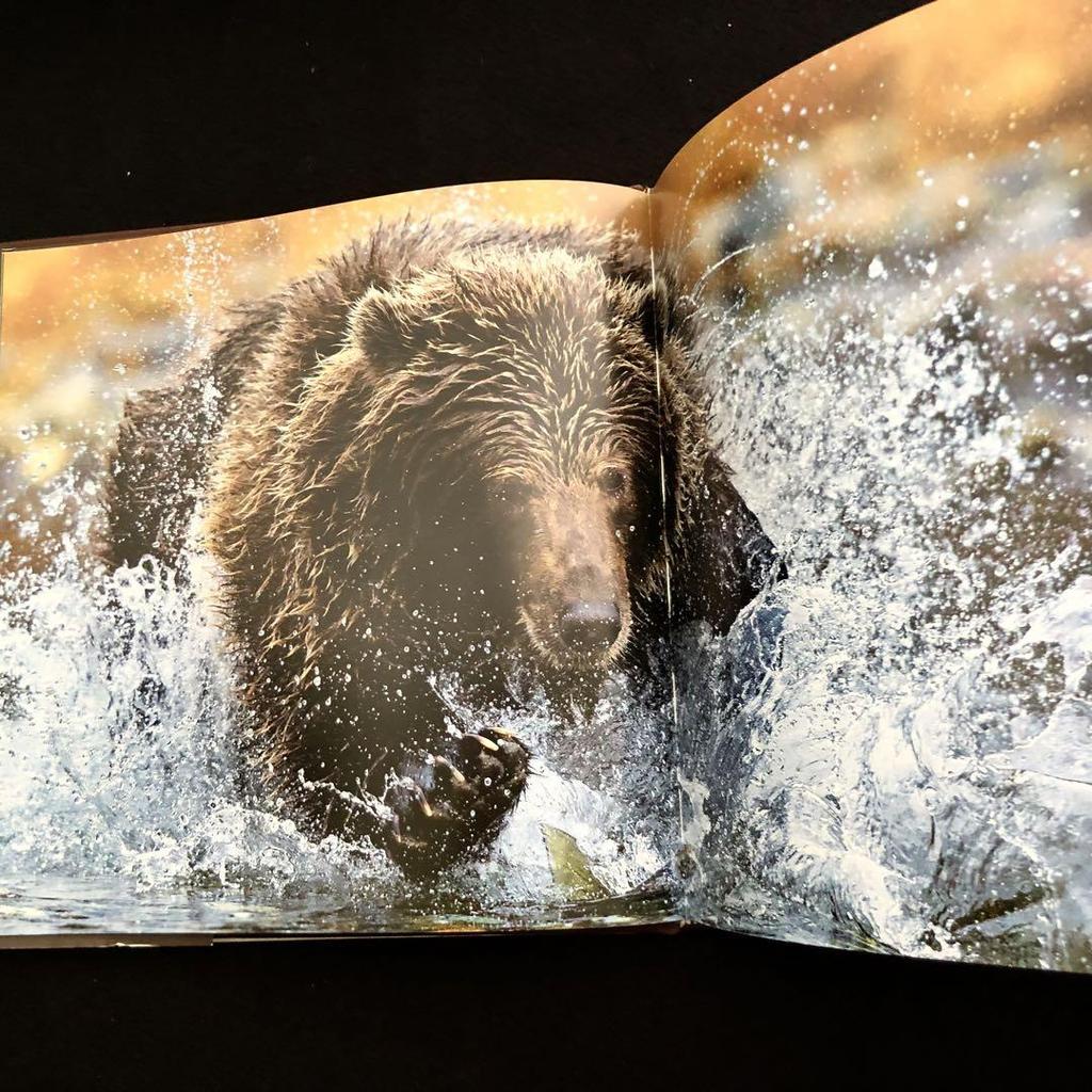 [Б/У] Коллекция фотографий Пола Никлена «Медведь»: Дух дикой природы
