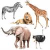 Decorative Stickers For Kids - Savannah
