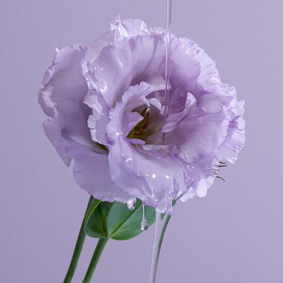 J.Sup Silk Keratin Hair Oil Essence 2X Special (+ 50g Water Pack)