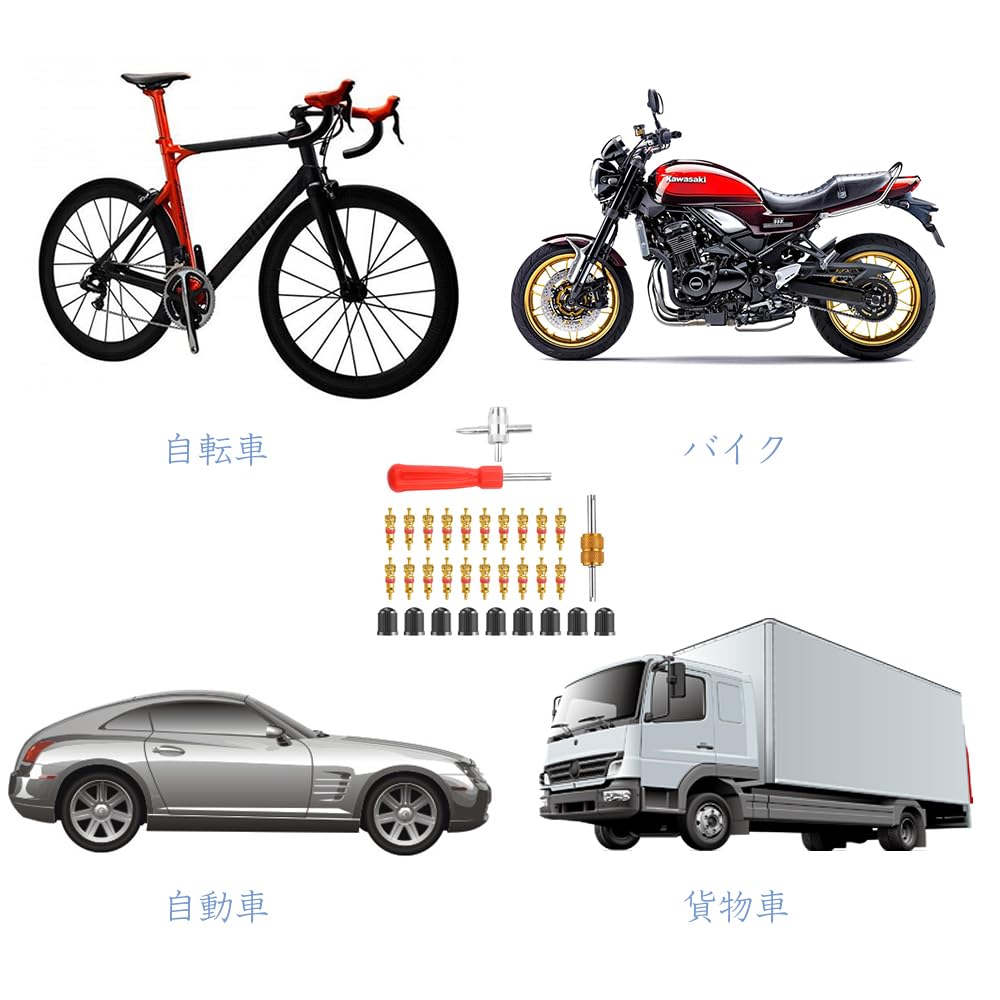 LOYELEY набор из 33 сердечников вентилей шин, отвертка для колесных жуков, прочный адаптер для снятия воздушного клапана, ключ для ремонта автомобильных и велосипедных шин, инструмент для ремонта шин