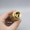 Brass Horizontal Lift Check Valve, Spring One-Way, Non-Return, Copper Stem, Sizes: 1/2", 3/4", 1", 2" (DN15-25)
