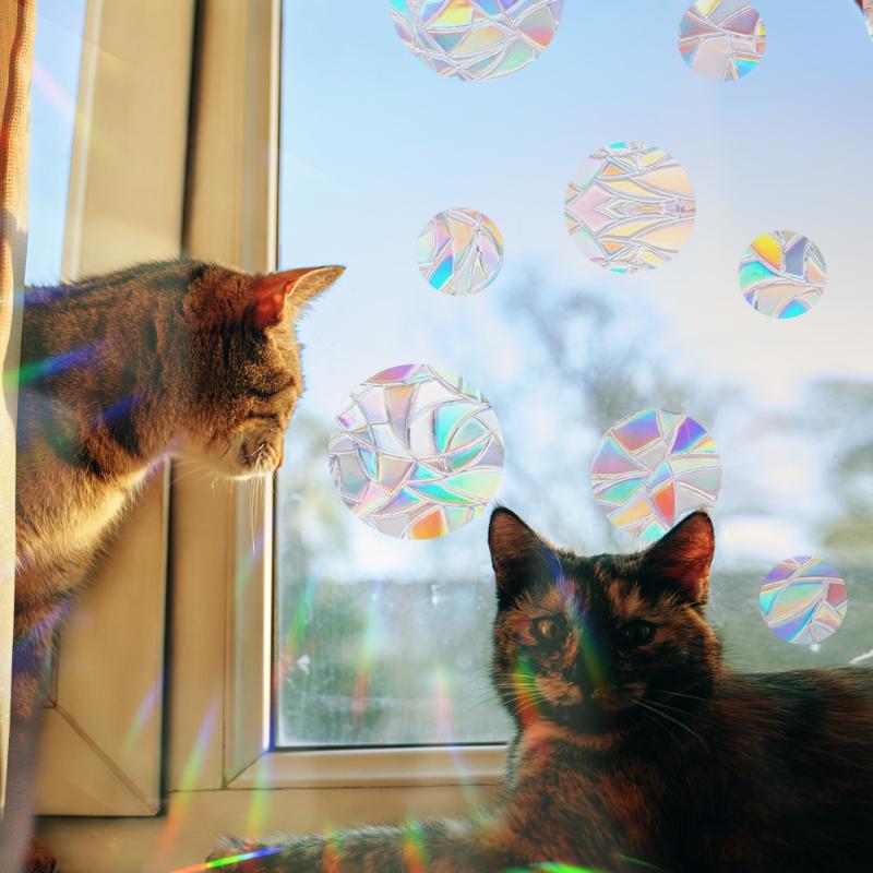 Sun Catcher DIY Window Stickers Rainbow Maker Cat Bird Moon Sun Art Decor for Kids Bedroom Living Room