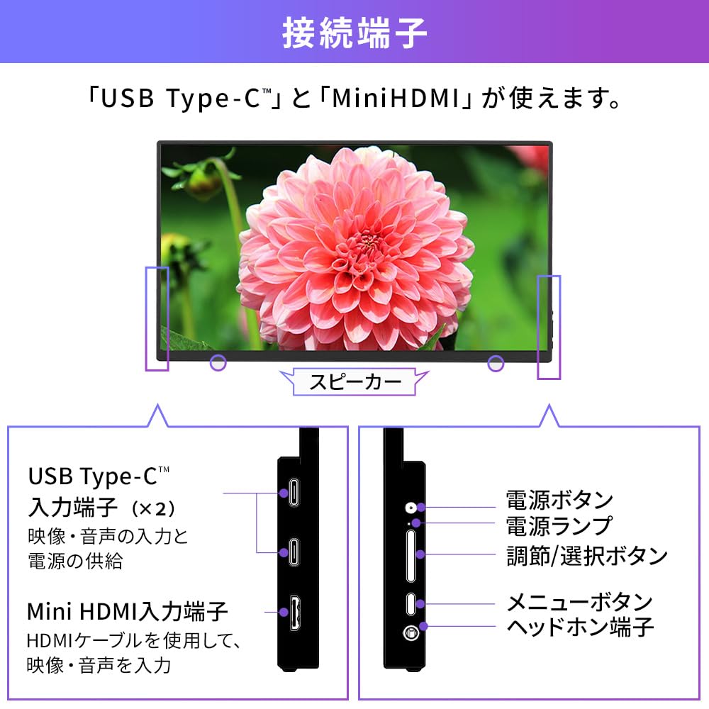 IRIS OHYAMA Portable Monitor 15.6inch FHD Slim Design Compact Mobile Monitor Matte 60Hz DP-EF164S-B Black