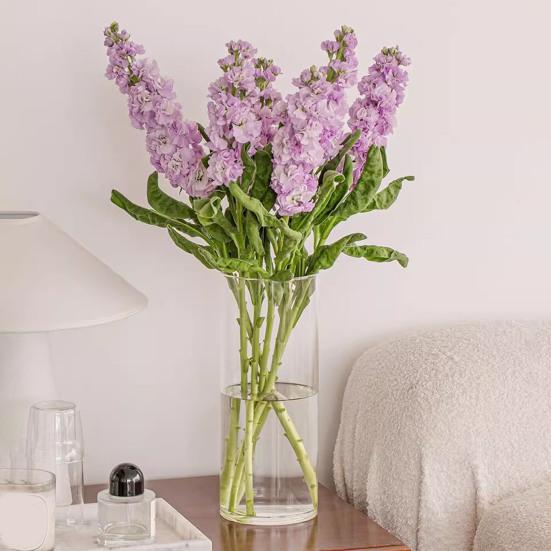 Прозрачная цилиндрическая ваза для цветов, свадебная вечеринка, обеденный стол, центральный элемент, гидропонный держатель для цветов, прозрачный