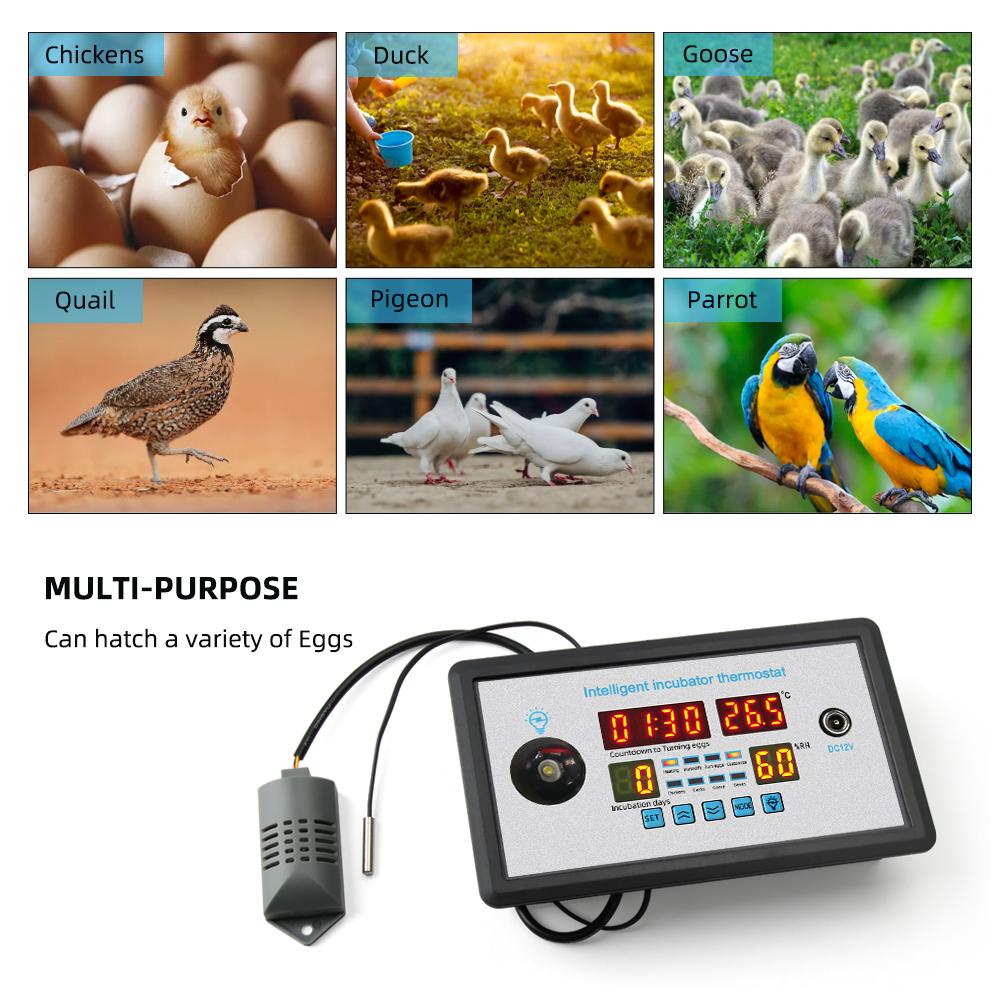 Новый умный термостат цифровой ZFX-W9002 термостат контроль температуры и влажности инкубатор 360 автоматический поворот яиц 12 В