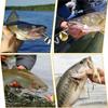 Fishing Tackle U-Shaped Connector Making Fishing Clevis Spinnerbait Brass Clevis Spinner Clevis