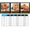 For Small Large Dogs Golden Retriever Dog Muzzle Mouth Mask Dog Prevention Supplies Pet Mouth Cover