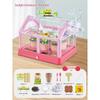 Educational Science Kit: Kindergarten & Primary School Plant Observation Toy Set