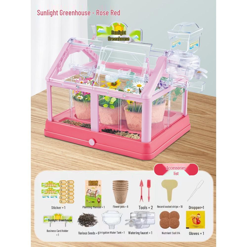 Educational Science Kit: Kindergarten & Primary School Plant Observation Toy Set