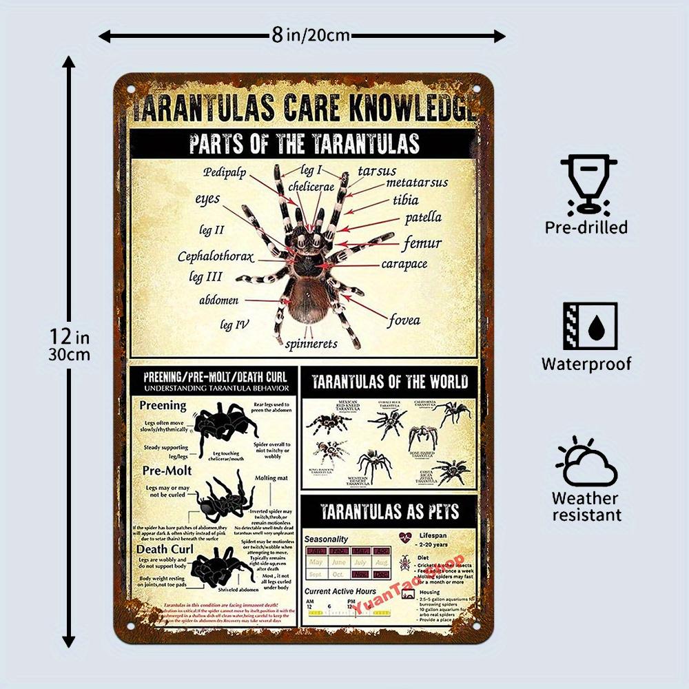 Металлическая табличка D Flat Vintage Tarantula Anatomy Железный настенный декор с УФ-печатью Образовательный Прочный, с предварительно просверленными отверстиями