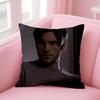 JJamie Dutton Cushion Cover Pillow Case Soft Friendly Fabric  Concealed Zipper