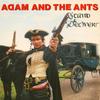 7inch Record ADAM & THE ANTS - Stand & Deliver! CBSA1065 CBS 1981 UK Rock Used