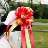 Большой набор лент для украшения свадебного автомобиля, для церемонии и свадебного номера