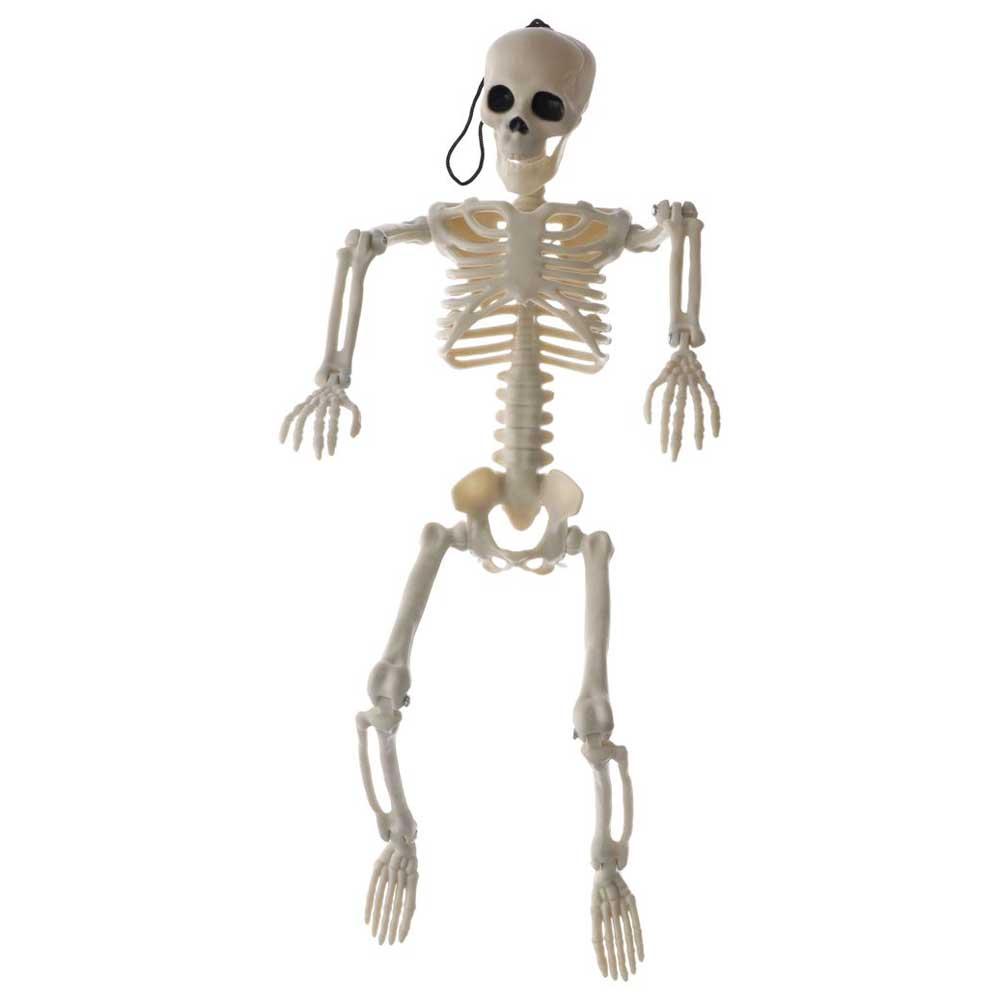 Decoration Skeleton Anatomy Skeleton Human Skeleton Model Car Decoration People Active Model