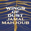 Wings of Dust by Jamal Mahjoub Paperback Book 9781035906000
