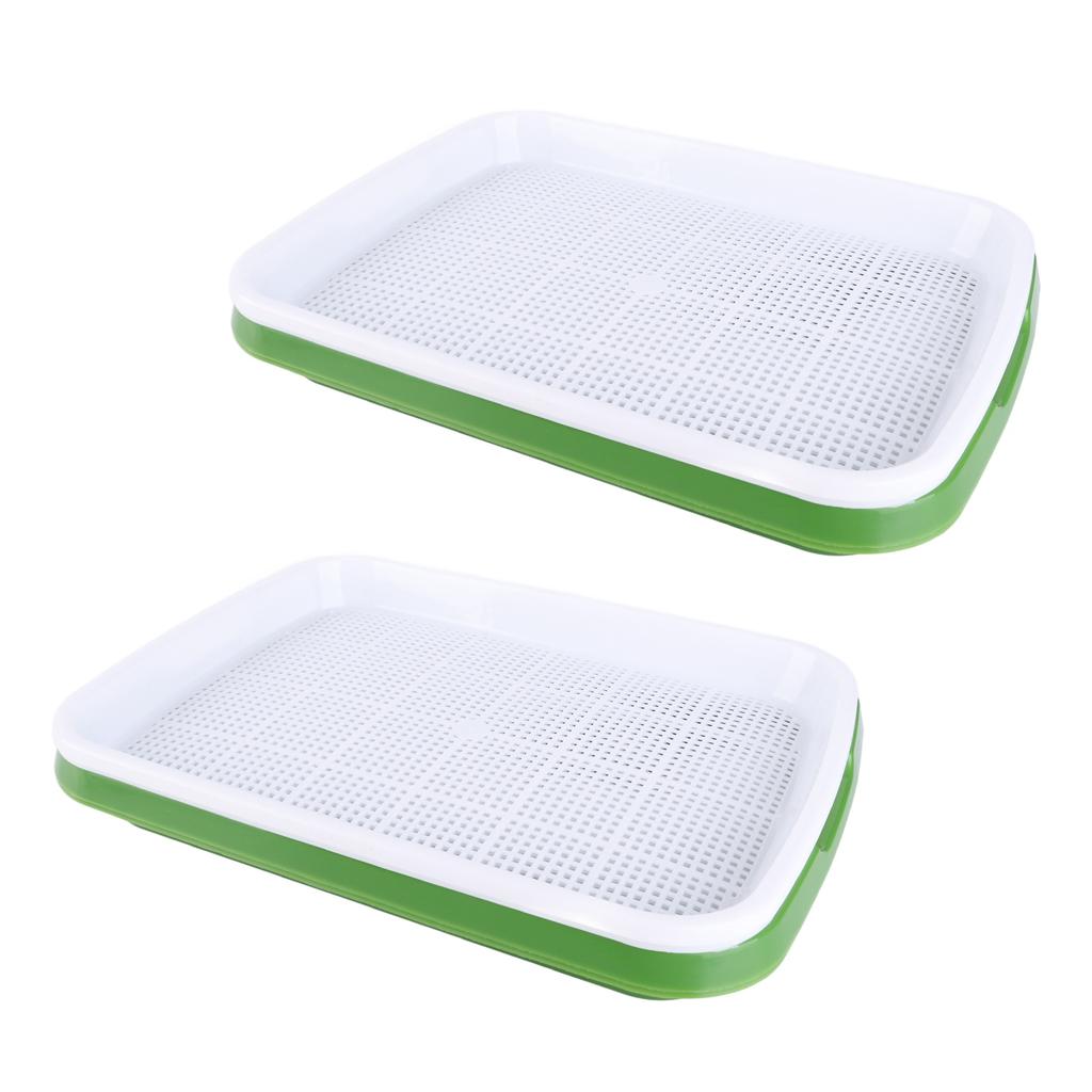Sprouting Tray Transparent Lid Dense Small Holes Fine Workmanship Plastic Material Seed Sprouter