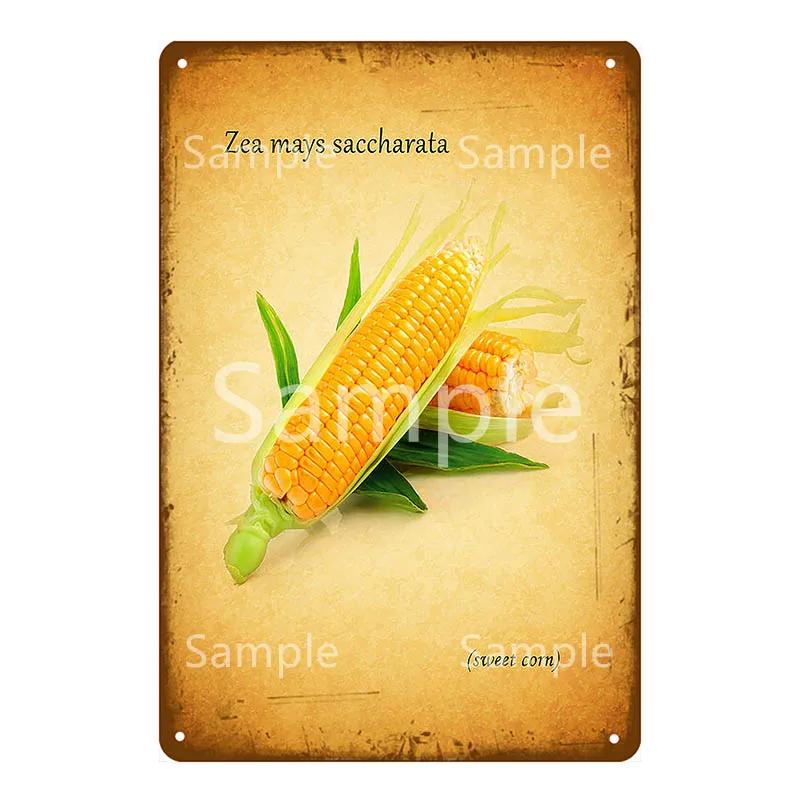 Памятная доска Thatchers Фрукты Бананы Металлическая вывеска Винтажное украшение фермы Домашний декор Наклейка на стену Магазин Живопись Постер для ресторана YL168