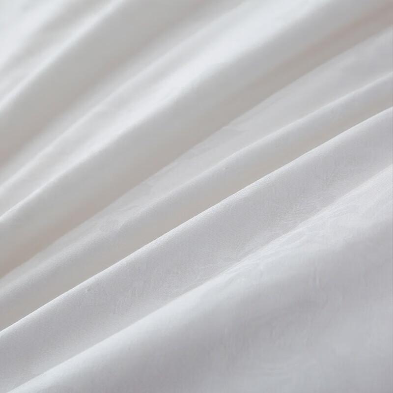 PLOVER Pure Cotton Mulberry Silk Quilt