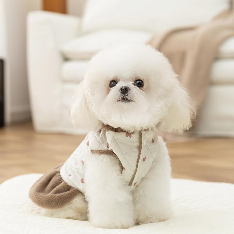 Warm Plush Pet Hooded Jacket Winter Autumn Coat Cute Lovely Dog Dress Princess Dog Clothes For Small Dog