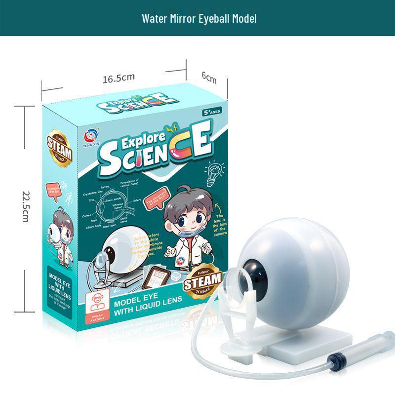 Трансграничный набор для самостоятельной сборки модели скелета человека для раннего развития для студентов