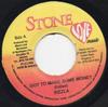 7inch Record SIZZLA - Got To Make Some Money NONE Stone Love Musi 2008 Jamaica Reggae, Ska & Dub Used