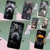 Питбуль Прекрасная Собака Питбуль Чехол Для Samsung Galaxy A52 A32 A12 A16 A26 A36 A56 A15 A35 A55 A34 A54 A13 A33 A53 A17 A06