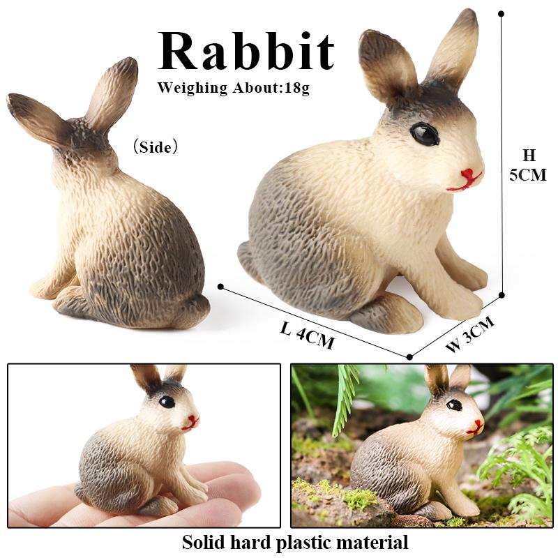 Oenux Lovely Farm Rabbit Bunny Model Action Figure Figurine Wild Desert Cottontail Hare Cute PVC Decoration Education Kid Toy
