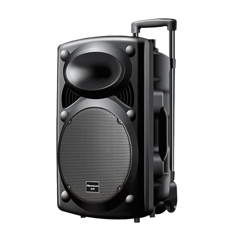 Портативная Bluetooth-колонка Newsmy B12 12 дюймов