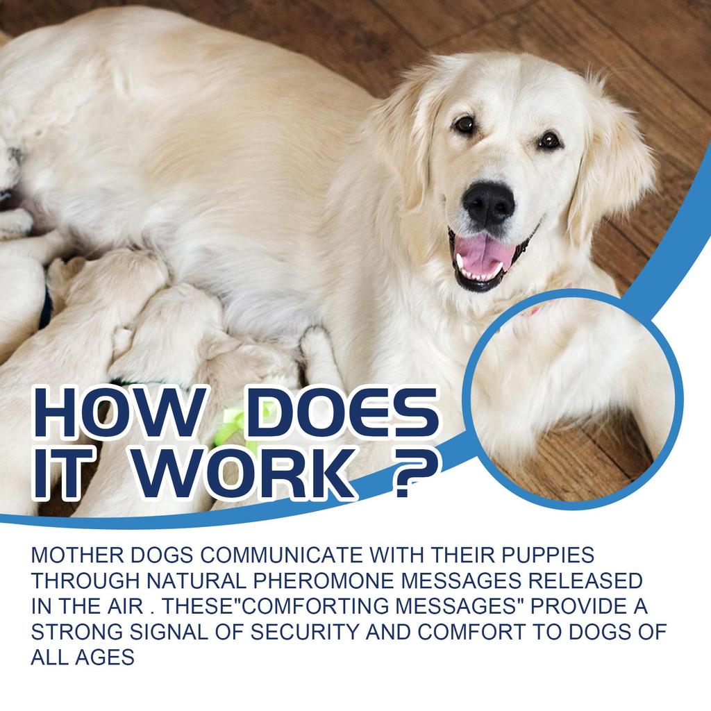 YEGBONG Pet Mood Care Relief для собак и кошек Comfort & Calm Care для лечения беспокойства