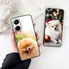 Pomeranian Dog Pet Animal Phone Cover for Apple iPhone 12 13 Mini XS 11 Pro Max 7 8 Plus + XR 8+ X SE 2020 SE3 Casing Coque Case