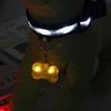 LED Light Up Bone ID Tag Pet Collar Pendant for Walking