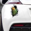 Красивая 3D-наклейка на автомобиль Parrot, забавная водонепроницаемая наклейка для автомобилей, грузовиков, мотоциклов, стен, окон, материала ПВХ
