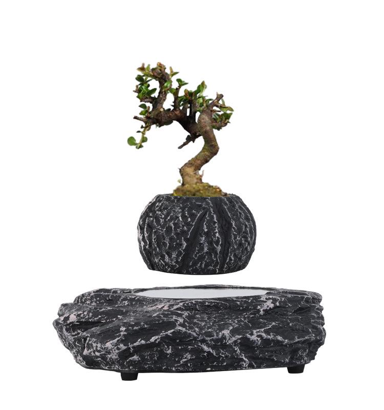 Magnetic Levitation Hanging Potted Plant - Mini Green Bonsai Ornament for Home or Desktop