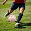 1pc Fairy Garden Dreams Theme Soccer Ball Football, Size 5, Lightweight PVC, Outdoor Training Soccer Ball,Gift j6143