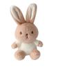 Milk Tea Color Charm Bag Ornaments Plush Dog Keychain Plush Pendant Plush Bunny Keyring Plush Doll