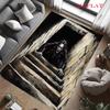 Horrible basement Carpet Rug for Living Room Bedroom Home Sofa Decoration,Kids play Nonslip Floor Mat