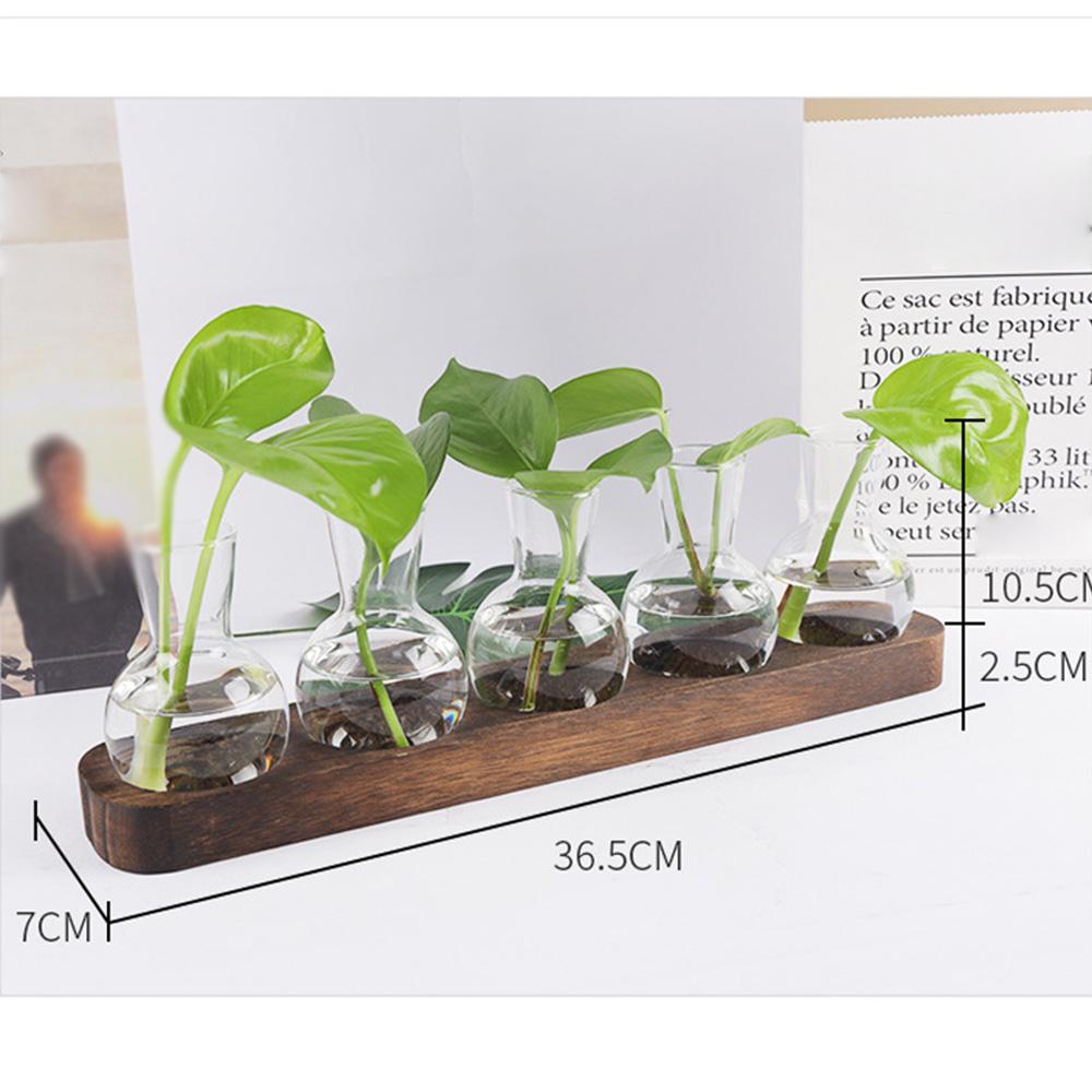 Гидропонные растения Контейнер для растений Стеклянные пробирки Террариумы Ваза на деревянной подставке Цветочные горшки Гидропонные растения Ваза для пробирок