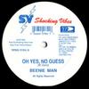12-дюймовая пластинка BEENIE MAN - О да, без сомнений; Версия / Version VPRD5784 Shocking Vibes 1995 США Регги, Ска и Даб