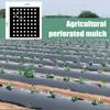 Plastic Perforated Mulch PE Agricultural Insulation Perforated Film