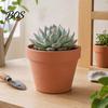 Crack Resistant Planter Terracotta Flowerpot, Clay Plant Pot with Drainage Hole, Porous Indoor Outdoor for Plants Succulents Cacti Herbs Unglazed