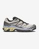 L49216100 Salomon XT-6 GORE-TEX "Серебряное Облако/Городской Шик/Теневой Зеленый" (Мужской)