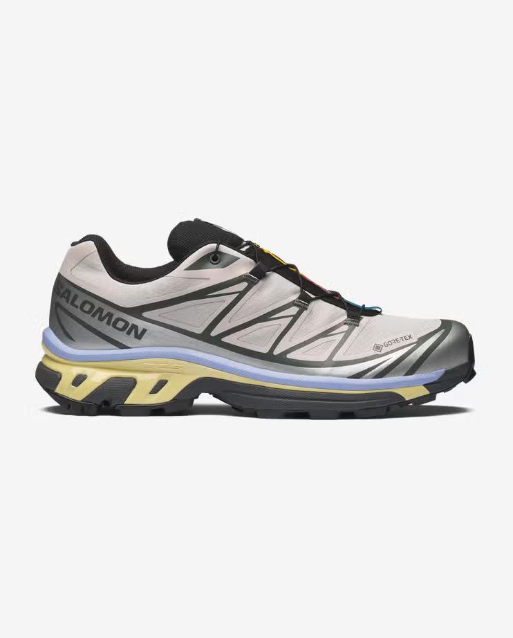 L49216100 Salomon XT-6 GORE-TEX "Серебряное Облако/Городской Шик/Теневой Зеленый" (Мужской)