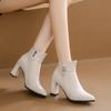 Winter Women's Round Toe Fashion Boots Chunky Heel Short Cotton Boots Side Zipper High Heel Single Women's Ankle Boots