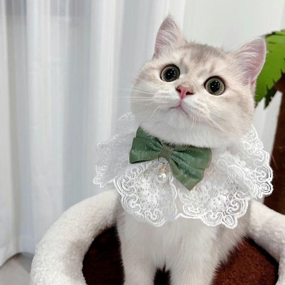 Beautiful Cat Lace Bows Collar Silks Satins/Pearl Dog Pearl Bows Necklace  Photograph