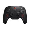 BIGBIG WON PC Wireless Controller with Back Button Developed In Switch Controller Bluetooth Connection Macro Function Equipped with Gyro Sensor TURBO