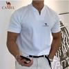 Men's V-neck High-quality Cotton Embroidered Polo Shirt Spring/Summer New Short Sleeved T-shirt Casual Sports Breathable Short