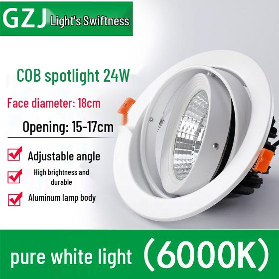 Recessed 20W Spotlight Downlight for Clothing Stores, 15-30W Commercial Ceiling Light