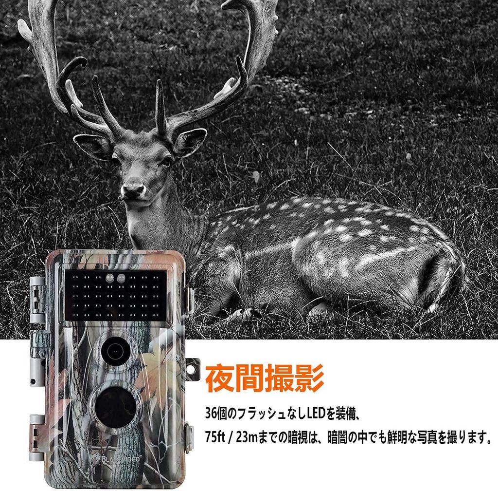 Blazevideo Trail 2 Human Wildlife Surveillance 32 Million Second IP66 Waterproof and Invisible At Battery Japanese Instruction Manual Camera, Pieces,