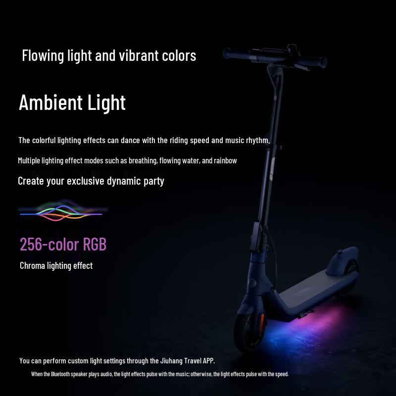 Ninebot C2Pro Foldable Electric Scooter (CN version)